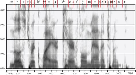 Solution To Last Months Mystery Spectrogram Rob Hagiwara