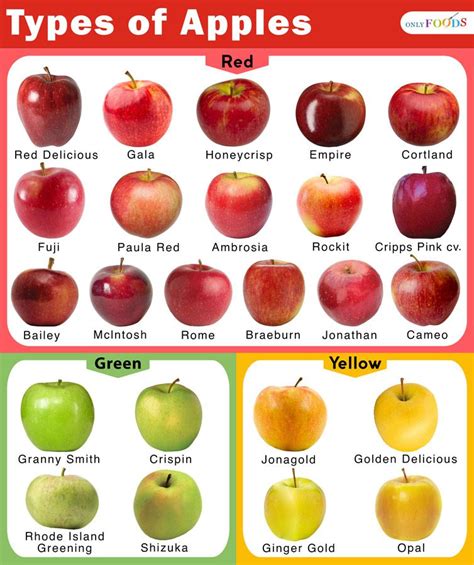 Tart Apples List And Their Sweetness