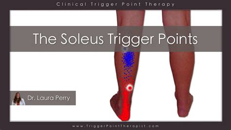 Trigger Point Video For Soleus Muscle