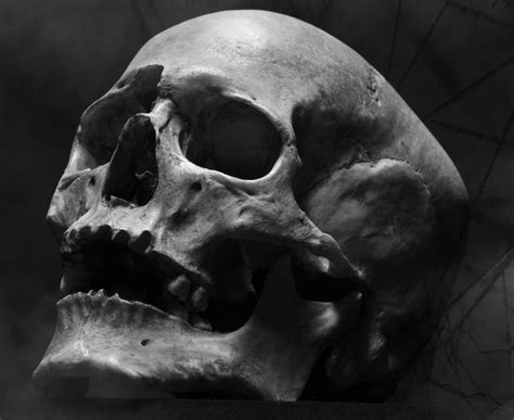 Screamin' skull tattoo and body piercing, lanark, united kingdom. Related Keywords & Suggestions for Screaming Skull