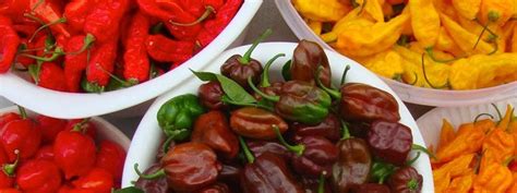 Super Hot Pepper Seeds From Around The World Seeds
