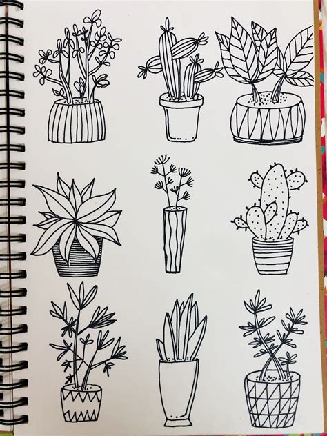An Open Notebook With Drawings Of Potted Plants And Cactuses On It S Pages