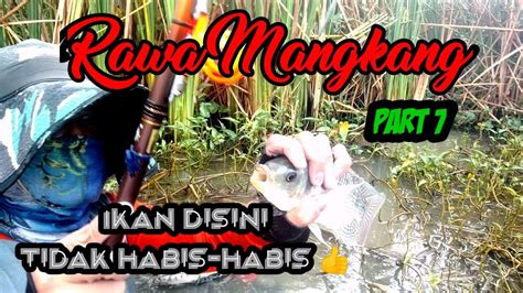 Mancing Nyobok Rawa Mangkang Semarang Terbaru Part Youtube