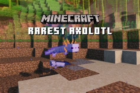 Qué Es El Axolotl Más Raro En Minecraft Y Cómo Conseguirlo 2022