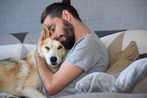 7 Health Benefits Of Living With Pets Goodnet