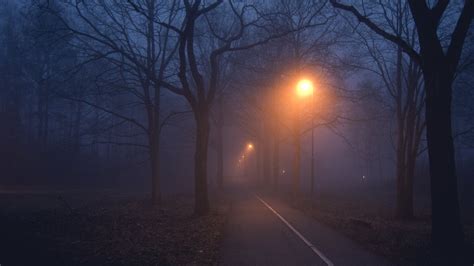 Download Street Light Night Fog Man Made Road Hd Wallpaper