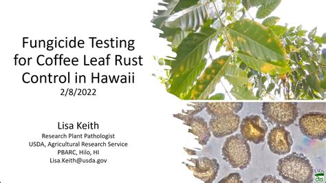 Fungicide Testing For Coffee Leaf Rust Control In Hawaii Presented By