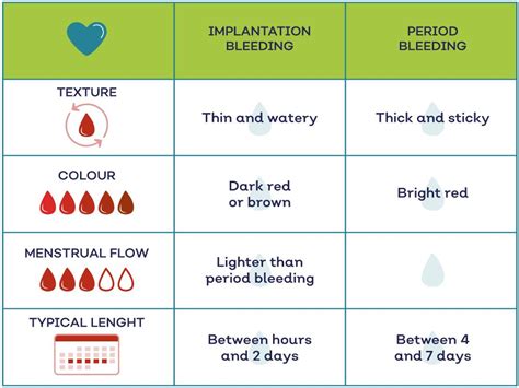 Implantation Bleeding Color And Amount