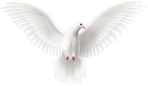 White Flying Dove Png Clipart Gallery Yopriceville High Quality