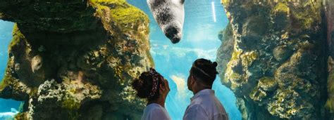 Beste Natur And Abenteuer Aquarium Genua 2022 Kostenlos Stornierbar