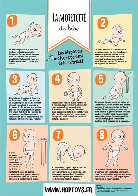 Infographies Les Différentes étapes De Bébé Bebe Developpement