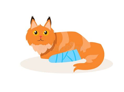 Cat With A Broken Leg Vector Cartoon Stock Vector Illustration Of