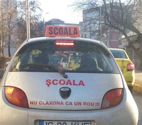 poza zilei scoala de soferi opinia timisoarei