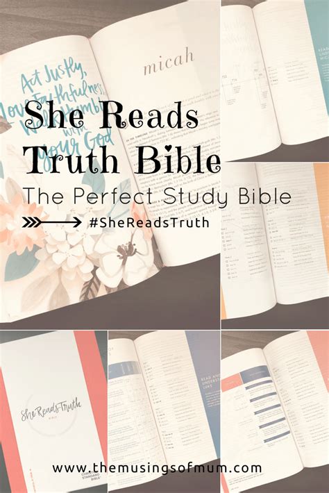 She Reads Truth Bible The Perfect Study Bible She Reads Truth Bible