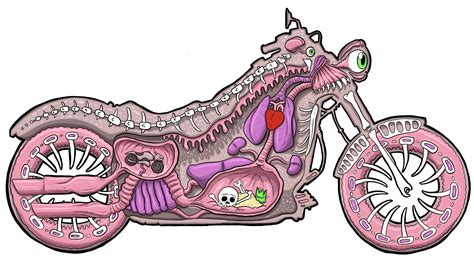 Anatomy Of A Harley Davidson Illustration