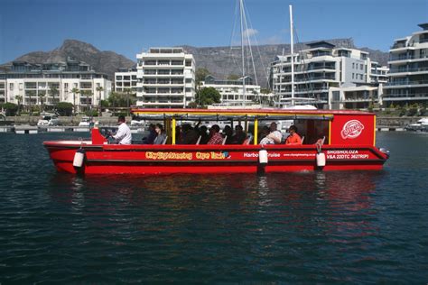 Hit The Water With These Cape Town Summer Cruises