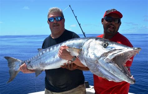 Fishing Turks And Caicos Deep Sea Fishing Sea Fishing Fish