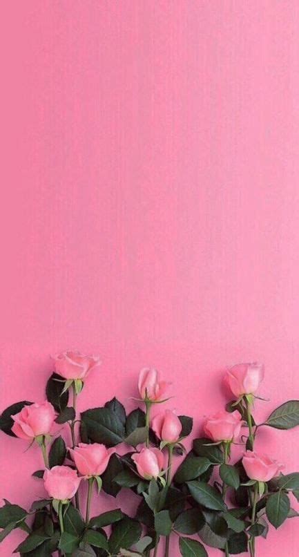 Pretty Pink Flowers Aesthetic Wallpaper Download Free Mock Up
