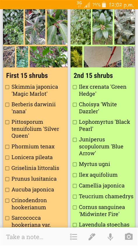 How To Learn Botanical Latin Plant Names And Remember Themgreenside Up