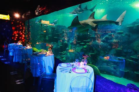 Sealife Sydney Aquarium Venue Sydney Au