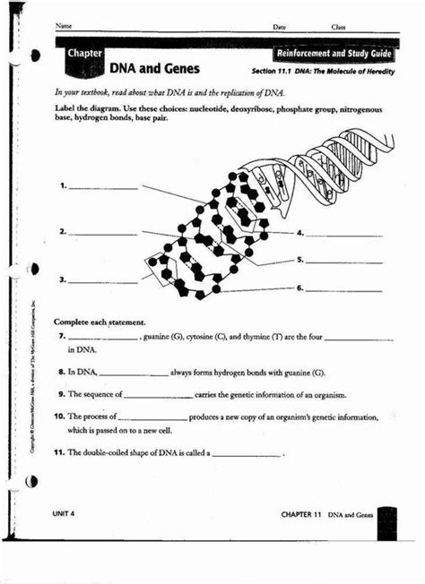 With this code i intend to take a portion of a string called sequence, between: Chapter 11 Dna And Genes Worksheet Answers - worksheet