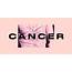 Elle Horoscope Cancer  Daily Horoscopes UK