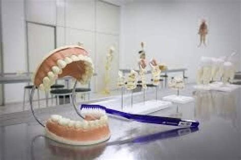 Conheça O Curso De Odontologia Da Aems Hojemais De Três Lagoas Ms