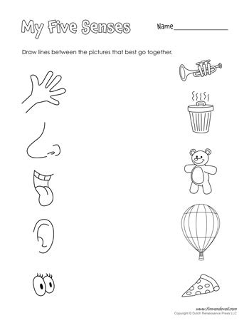 Kids pre kinder worksheets printable kindergarten worksheets. Free Five Senses Worksheets for Kids | 5 Senses Craft
