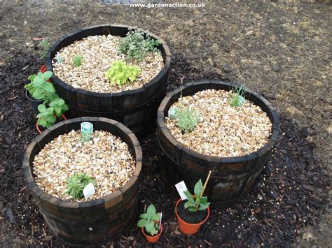Maybe you would like to learn more about one of these? How to Grow herbs in Containers