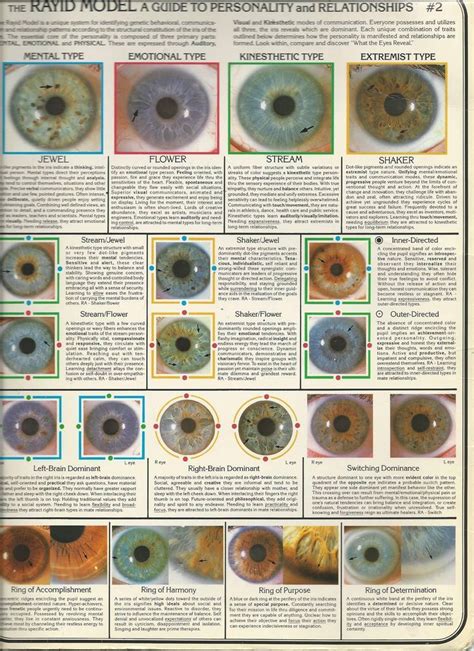 Ee70a0083826813ba7cd490e49ee7351 Eye Chart Eye Color Chart 736×