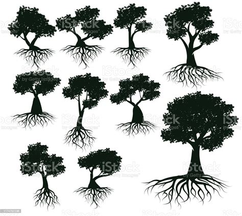 Trees Black Vector Silhouette With Root Stock Illustration Download