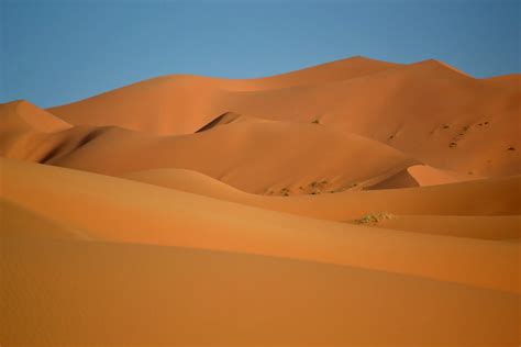 Encounter The Erg Chebbi Dunes In Morocco Sahara