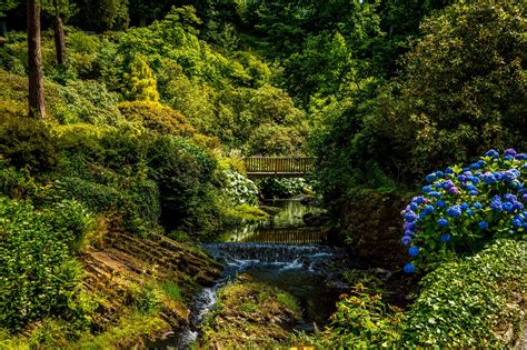 Download Greenery Flower Spring Bridge Photography Park 4k Ultra Hd