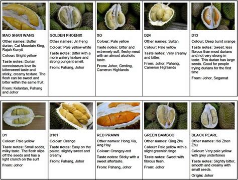 However, the durian season might get a bit unpredictable nowadays due to climate change. Durian Season: Types and Tasting Notes - La Fleur de Vanille