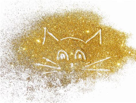 Funny Cat Of Golden Glitter On White Background Stock Photo Image Of