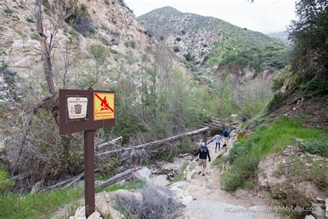 Trail Canyon Falls A 40 Foot Waterfall In Angeles National Forest