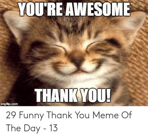 29 Funny Thank You Meme Of The Day 13 Funny Meme On Meme