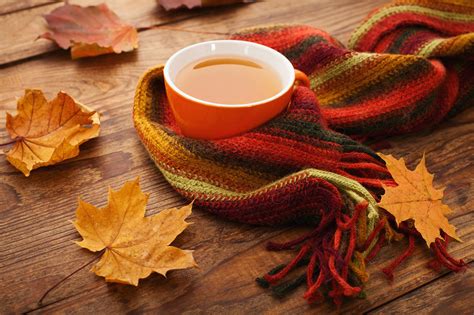 Autumn Background With Cup Of Coffee And Scarf Gallery