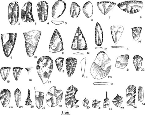 Paleo Indian Tool Types Of The Great Plains From Irwin And Wormington