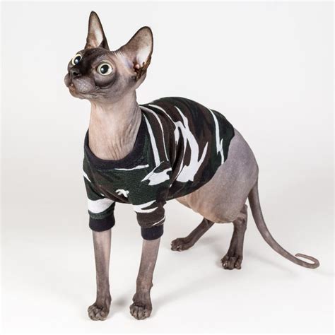 I also will add that its more of a senile of man the cat owner part of me would argue that it's simply because the combination of power, pleasure. 19 best November 2015 new Sphynx Cat Clothing Styles ...
