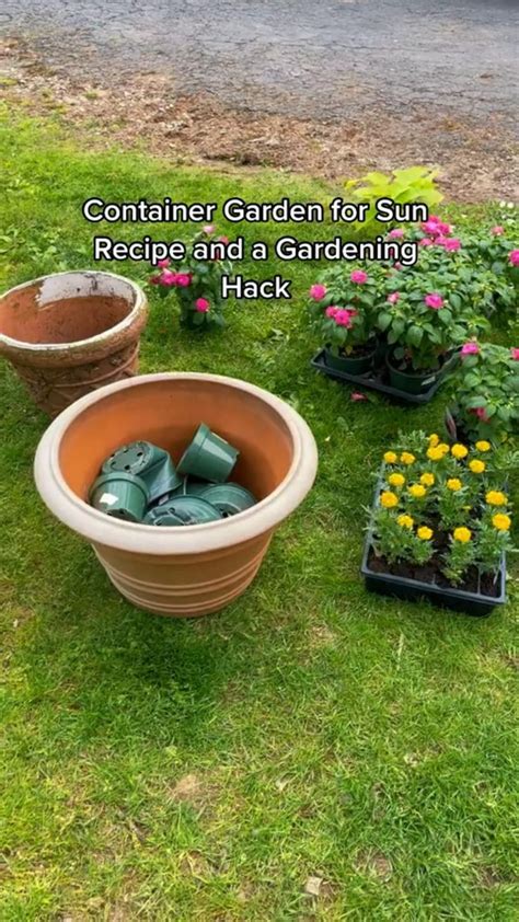 Gardening Hack And A Container Garden Recipe For Sun Garden