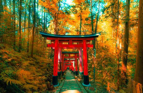 What Is Torii Gate Meaning Types And Facts Japan Wonder Travel Blog
