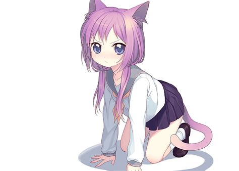Hd Wallpaper Cat Girl Anime Girls Nekomimi Animal Ears White