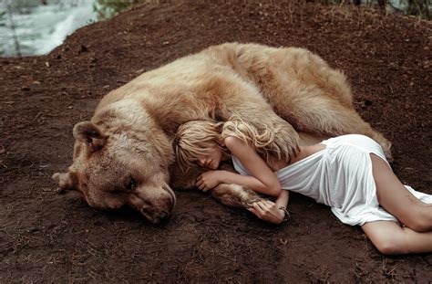 867621 Masha Glushchuk Ira Morozova Bears Brown Bears Lying Down