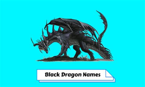 280 Best Black Dragon Names Ideas To Inspire You