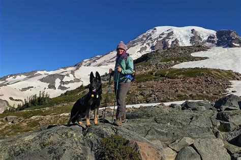 Hiker Who Fell 300 Feet Off Mount St Helens Says Dog Never Left Her Side