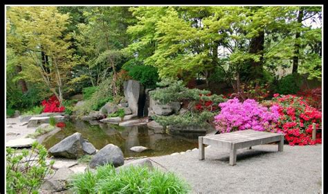 Olympia Daily Photo Yashiro Japanese Garden Pond