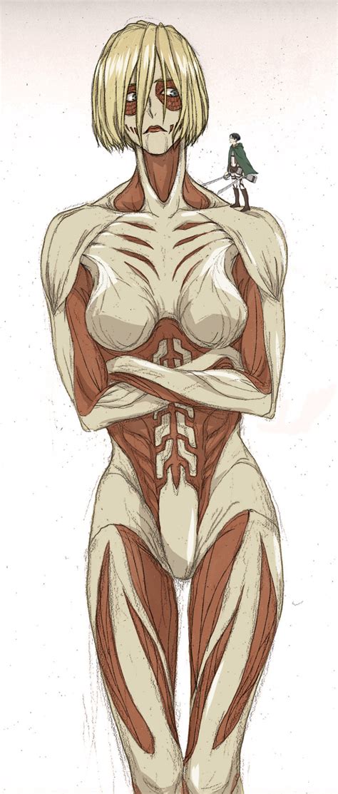 Female Titan Levi Shingeki No Kyojin Titan Shingeki No Kyojin Shingeki No Kyojin Highres