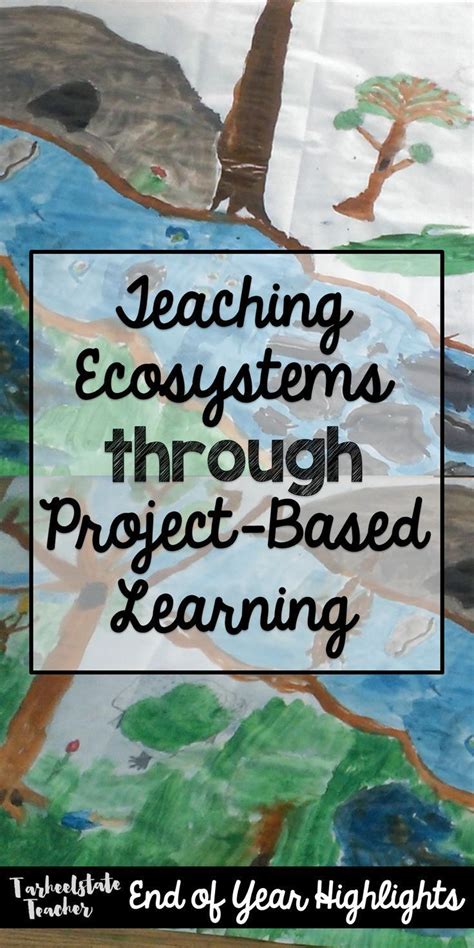 Ecosystems Project Based Learning Museum Project Artofit