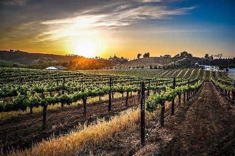 10 Best Wineries And Vineyards To Visit In Temecula 2022 2023